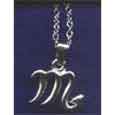 Amulet Zodiac - tr